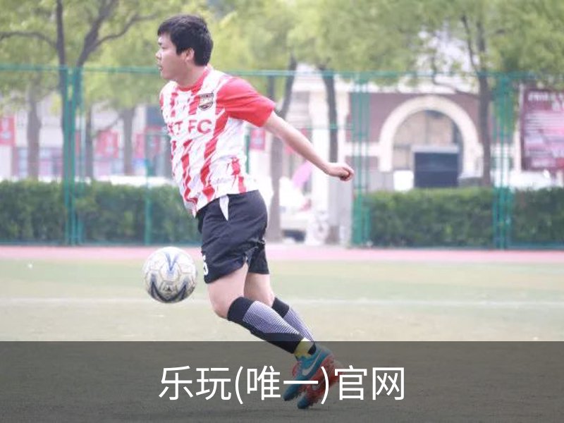 关于乐玩(唯一)官网