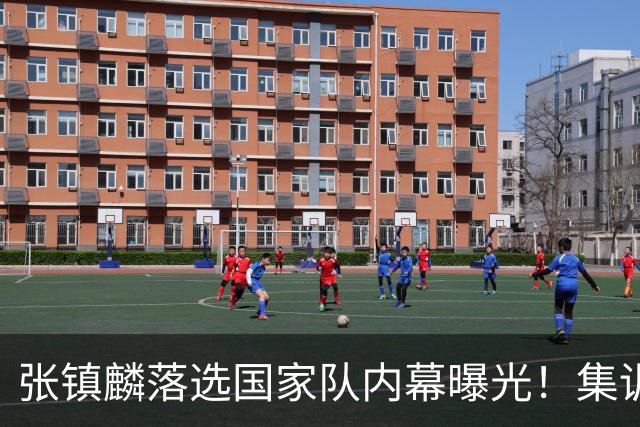 张镇麟落选国家队内幕曝光！集训前夕请假了：郭士强没有放弃他？